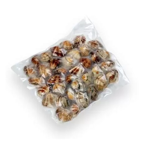 Клеммы Вонголе 31/40 в раковине в/м (0,5кг)