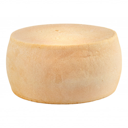 Сыр твёрдый "Пармезан" 48% выдержка не менее 18мес. голова (~30,000кг)